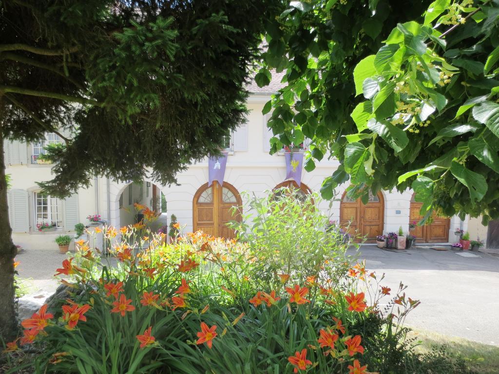 La Maison Des Fontaines D'Alsace Ferrette Zimmer foto