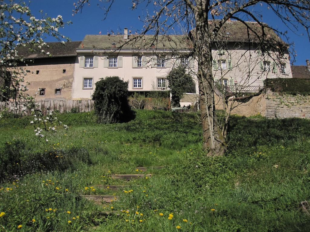 La Maison Des Fontaines D'Alsace Ferrette Zimmer foto